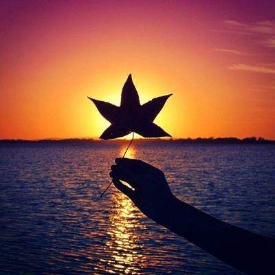 香港2023正版免费资料app下载