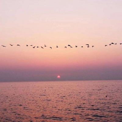 香港今晚六给彩开奖结果app下载